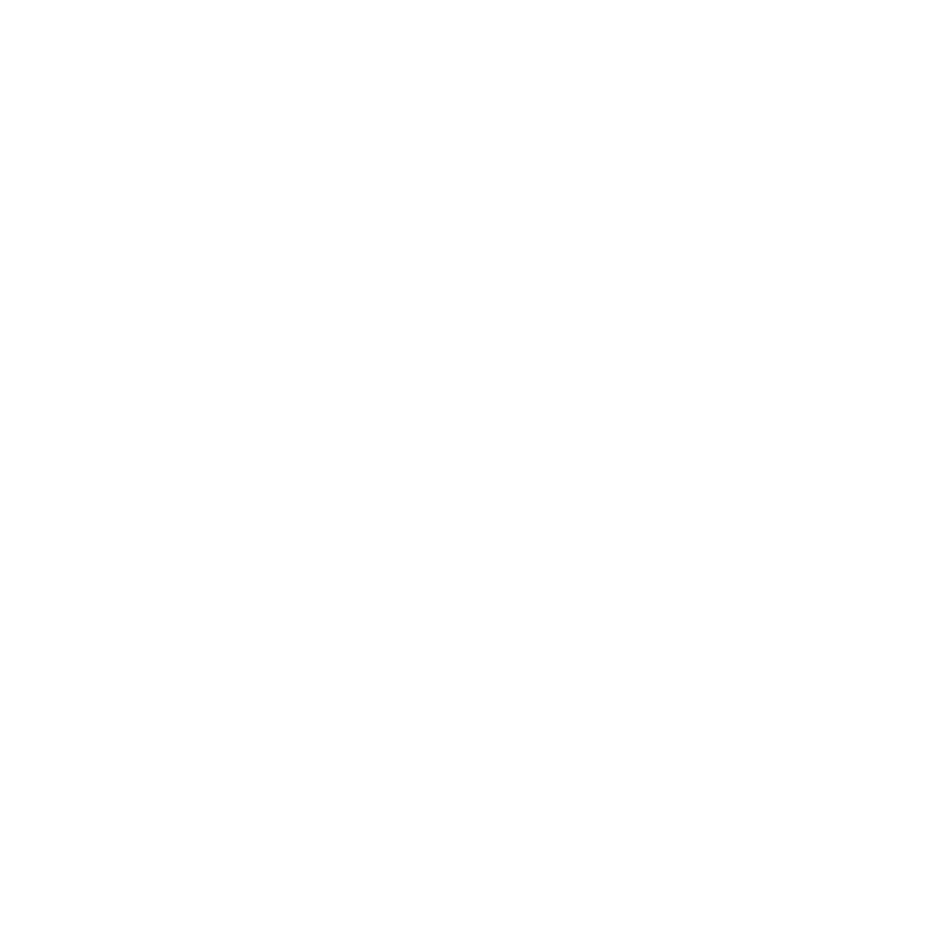 Logo VeiligSteiger